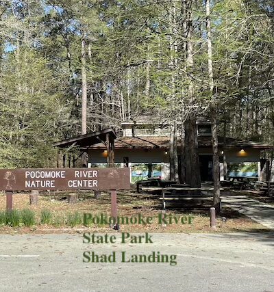 Pokomoke River Shad Landing State Park, Snow Hill, MD