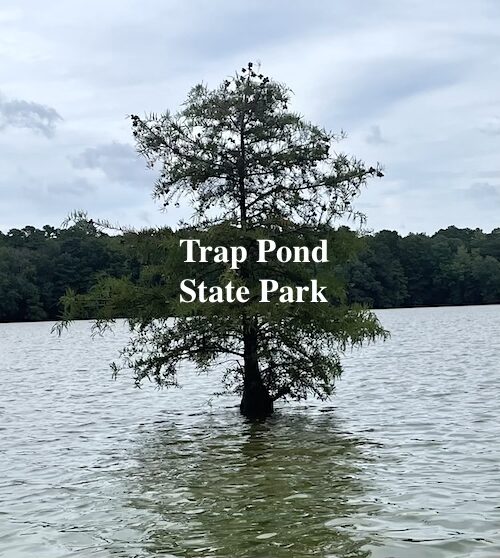 Trap Pond State Park, Laurel, DE