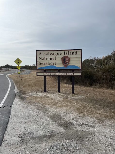 Assateague National Seashore, Berlin, MD