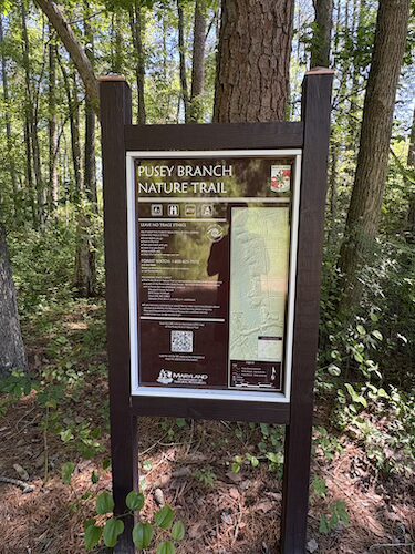 Pusey Branch Trail, Blueberry Hill, MD