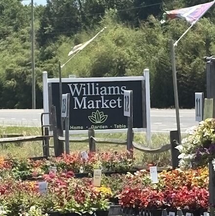 Williams Market, Salisbury, MD